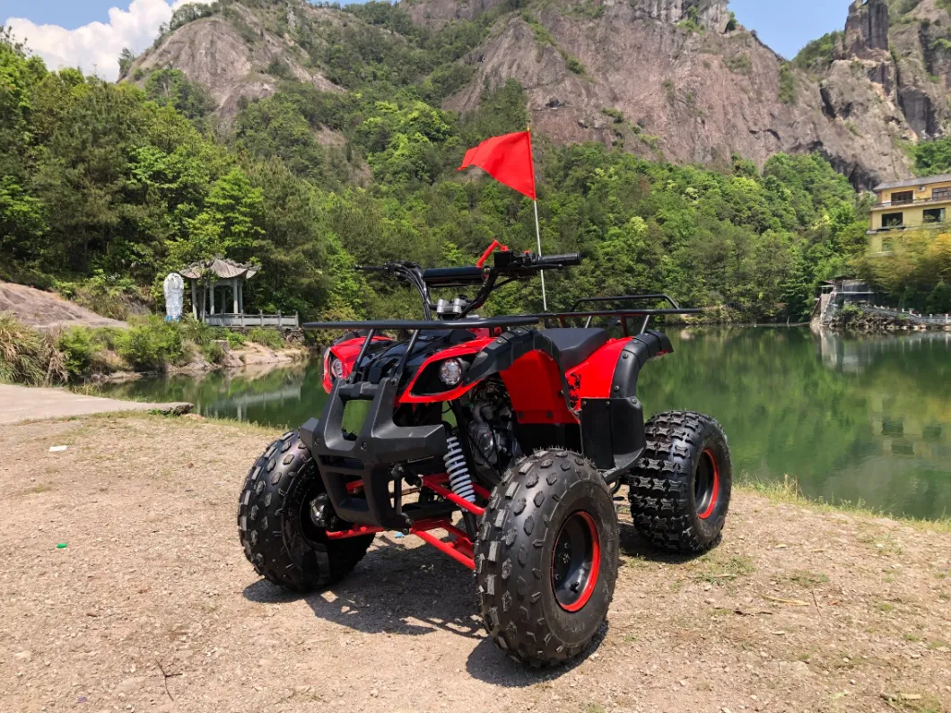 Chinese Professional Gas Powered 125cc Utility ATV Sporty Quad