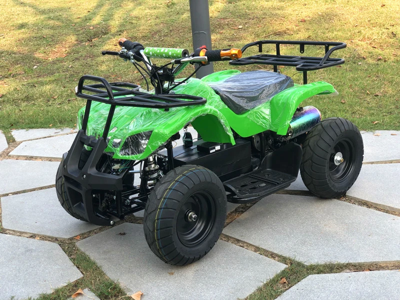 Electric Mini ATV for Kids 500W Quad ATV