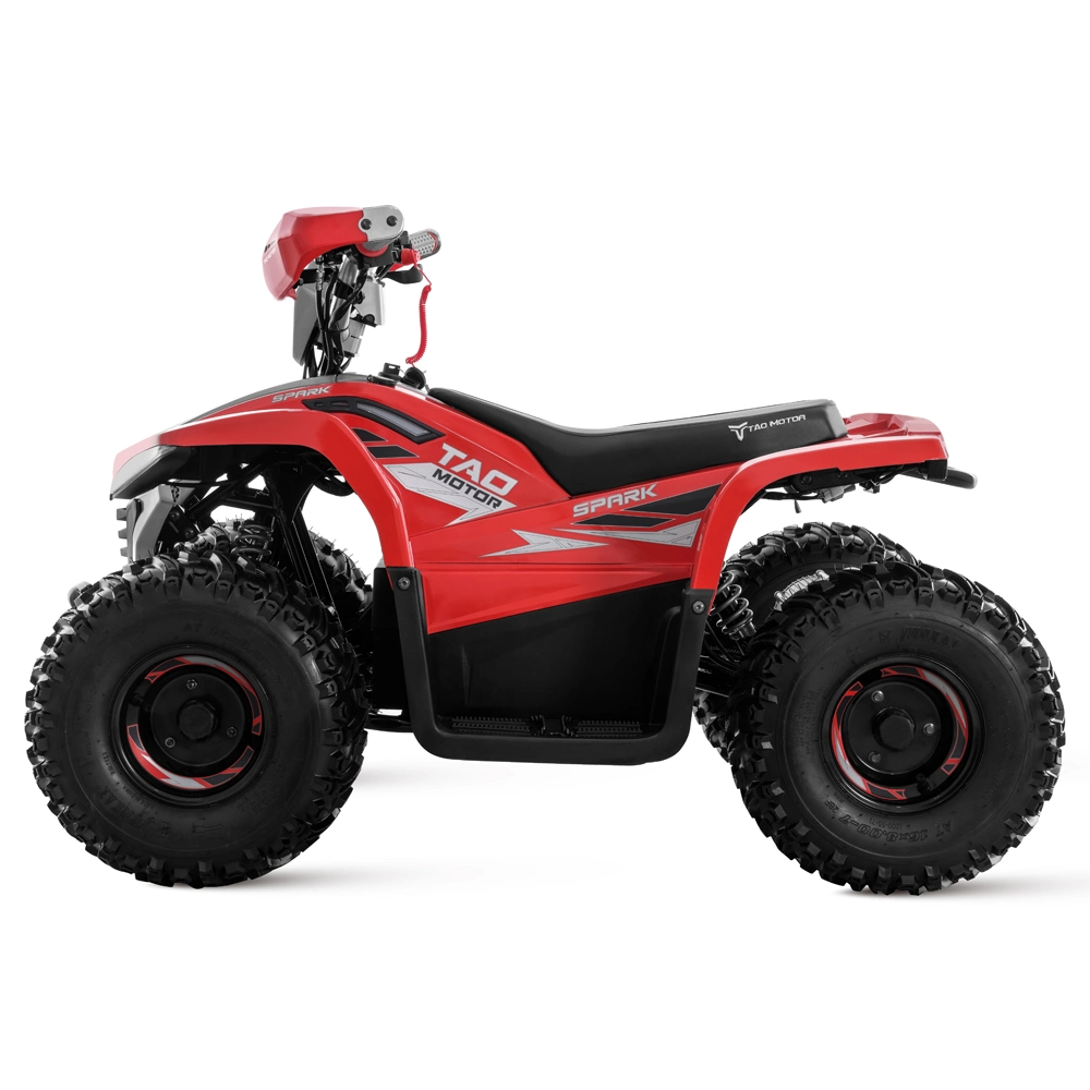 4X4 ATV Bike Four Wheeler ATV Electric Quad