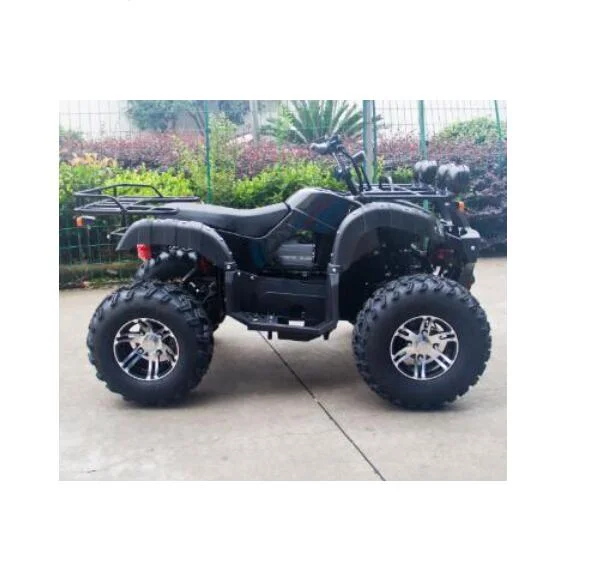 Hot 2000W Electric Adult ATV Quad Bike for Sale