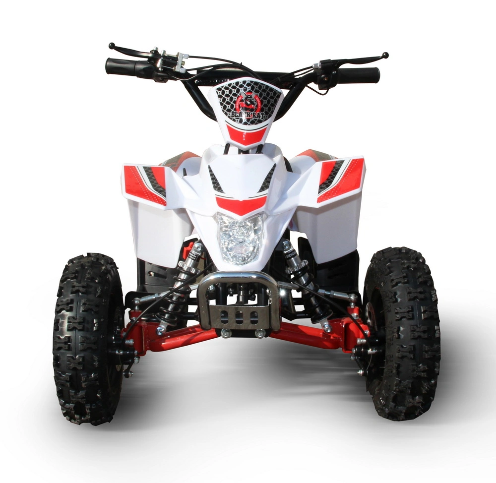 Children&prime;s ATV 800W Shock-Proof 3rd Shift Scenic Quad Bike