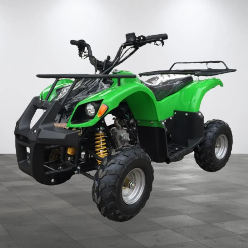 Children&prime;s 110cc Quad Bike