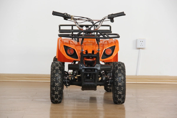 Hot Selling 49cc ATV 4 Wheel Amphibious ATV Mc-301b