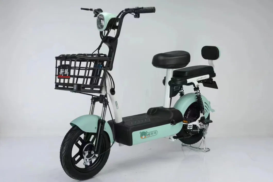 Adult Small Electric Bicycles/Two Wheeled Electric Motorcycles/Two Seater Electric Scooters