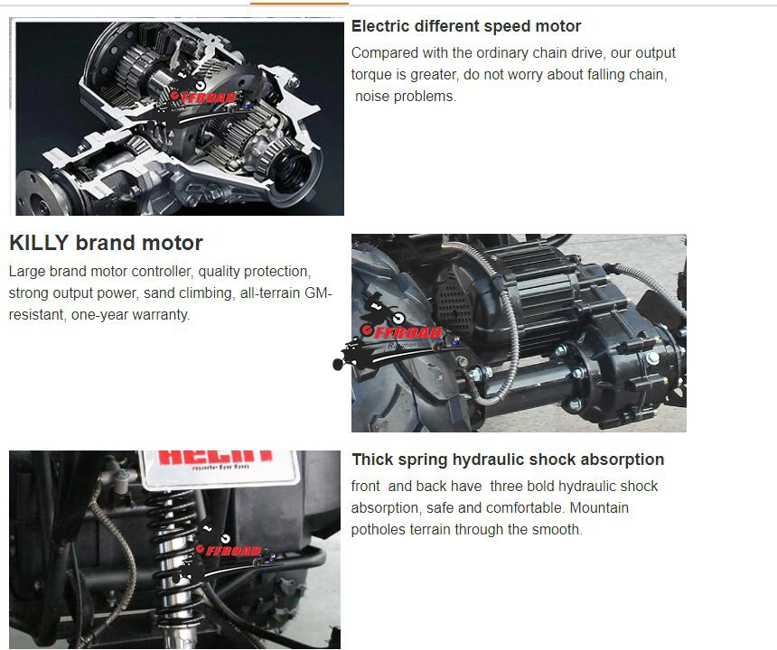 Economical 3000W 60V Differential Electric Quad ATV 4X2