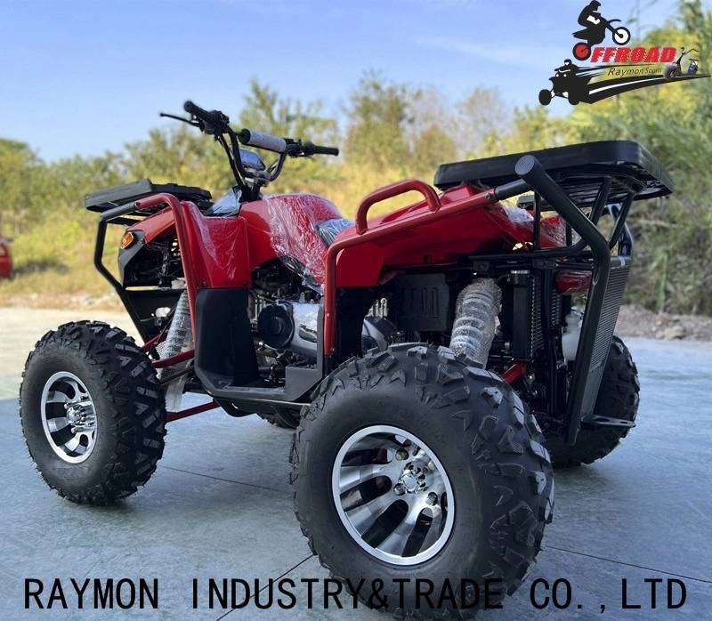 New Hot Design 250cc ATV Four-Wheel Drive 150/200cc ATV for Adult