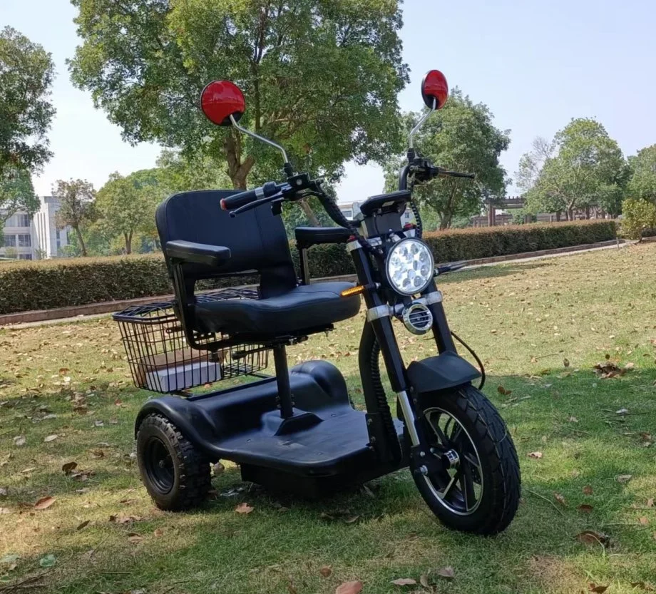 Wellsmove Factory 3-Wheeled Motorcycles Steel Electric Mobility Trike Scooter