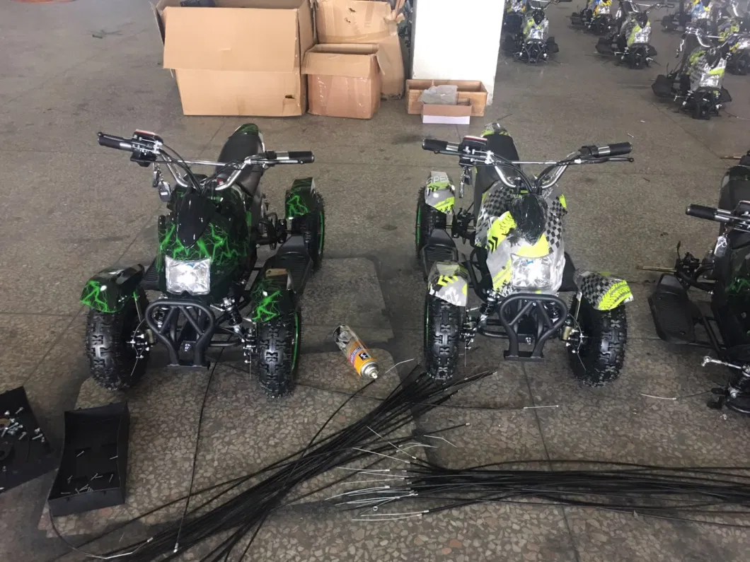 800W Motor Mini Electric ATV Quads (ET-EATV024)