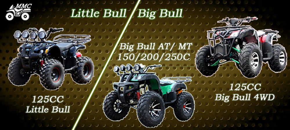 Cheap Price 125cc 150cc 200cc 250cc Adults ATV Quad
