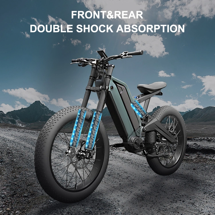 24 Inch 1000W Aldult Offroad Dirt Fat Tire Ebike Quad Electric E Bike