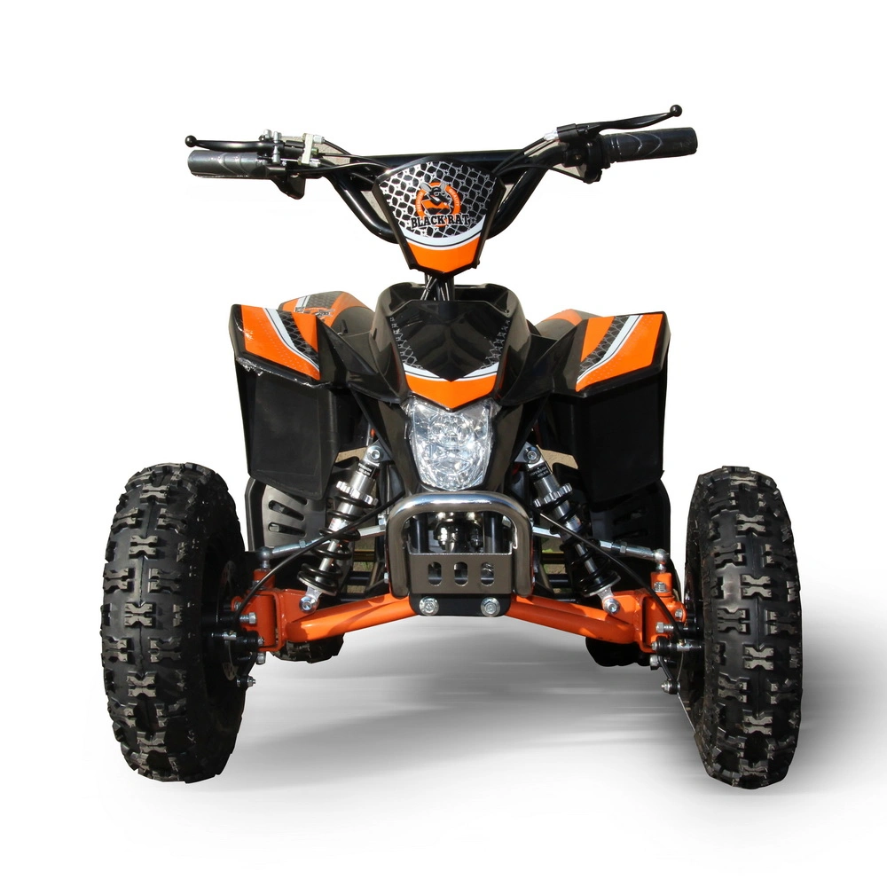 Children&prime;s ATV 800W Shock-Proof 3rd Shift Scenic Quad Bike