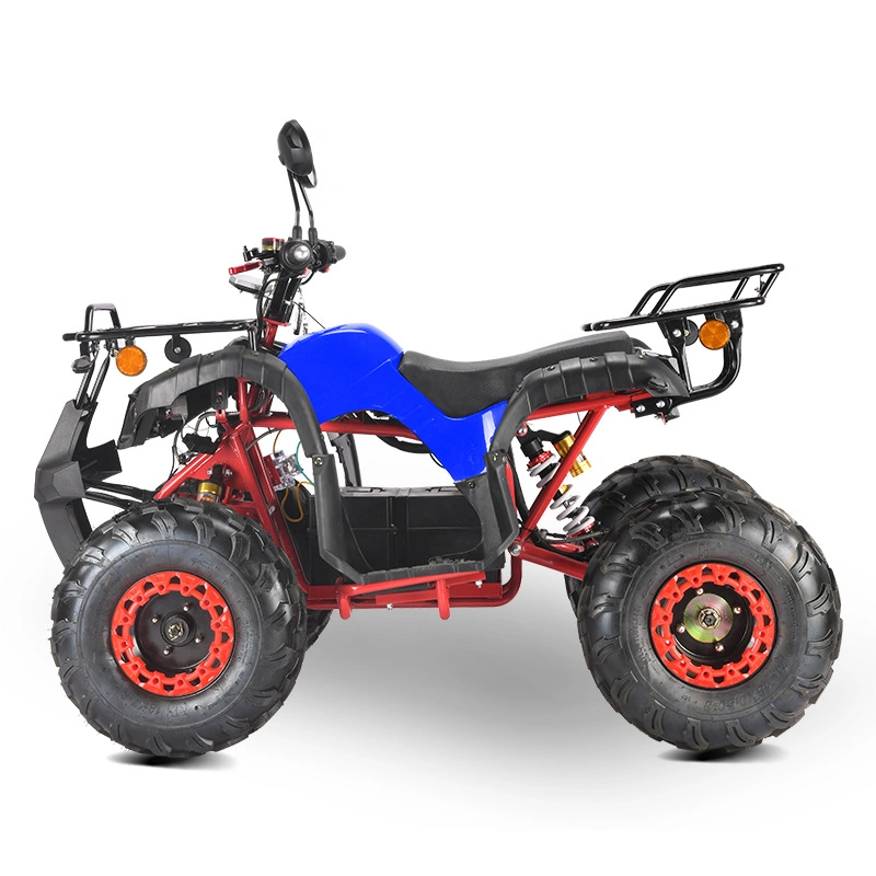 New Four-Wheel Drive Fully Enclosed Mountain Beach Car ATV Electric Atvs for Adults 2000W 4 Wheeler ATV for Adults