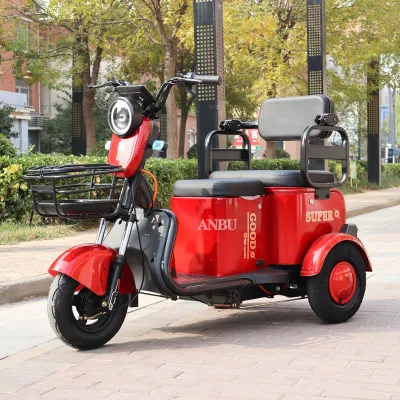 Tres ruedas 800W para el Tricycle eléctrico de adultos de Familia