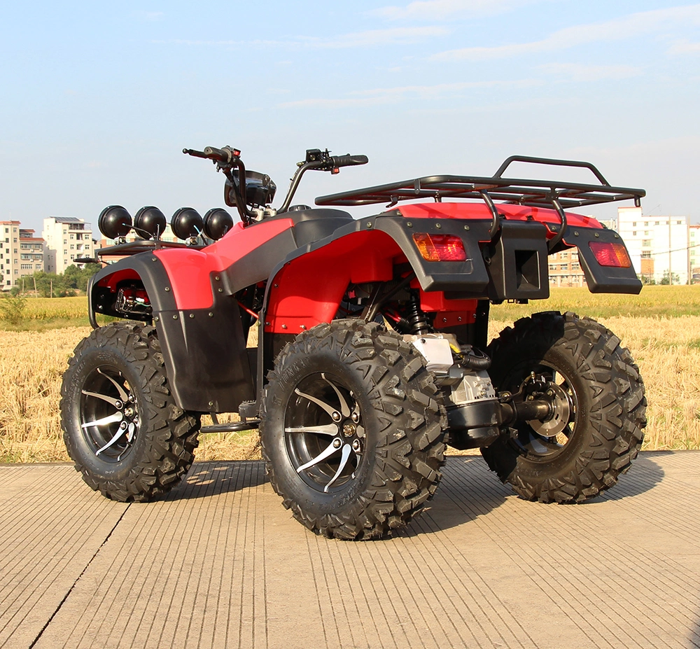 72V 4000W Amphibious Vehicles for Sale Electric ATV Lithium Quad Bike for Adults