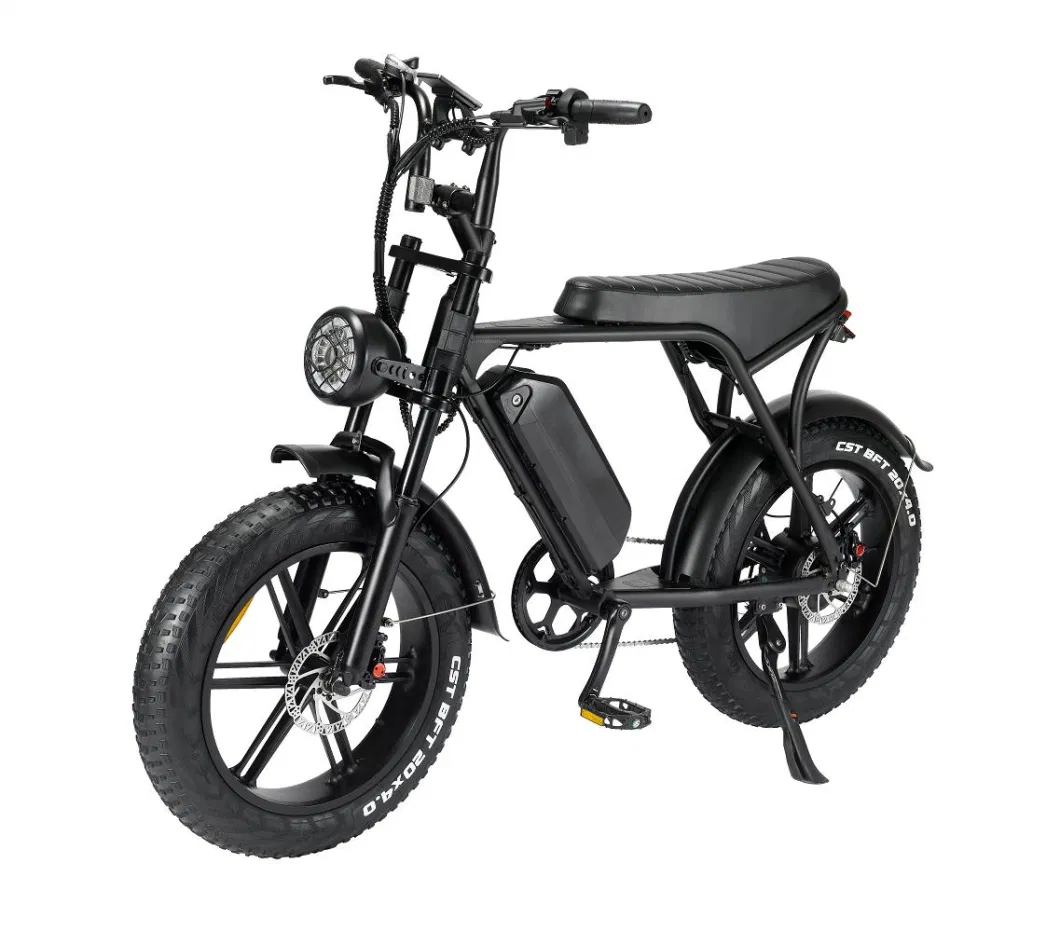2024 New All Terrain 500-1000W off Road Bicycle Electric Bike 20*4.0inch Fat Tire E Bicycle Beach Cruise E-Bike