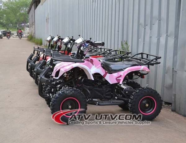 New CE Approved 500W/800W/1000W Electric ATV Quads Bike