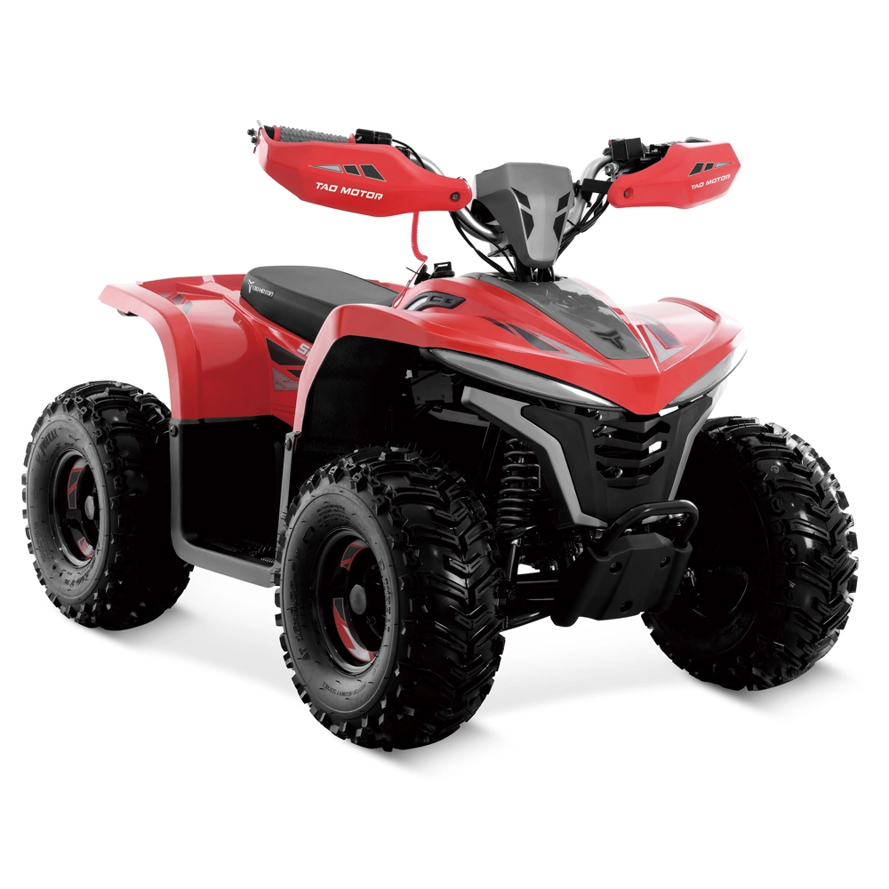 Electric Bike ATV Bike Four Wheeler Atvs Electric Quad