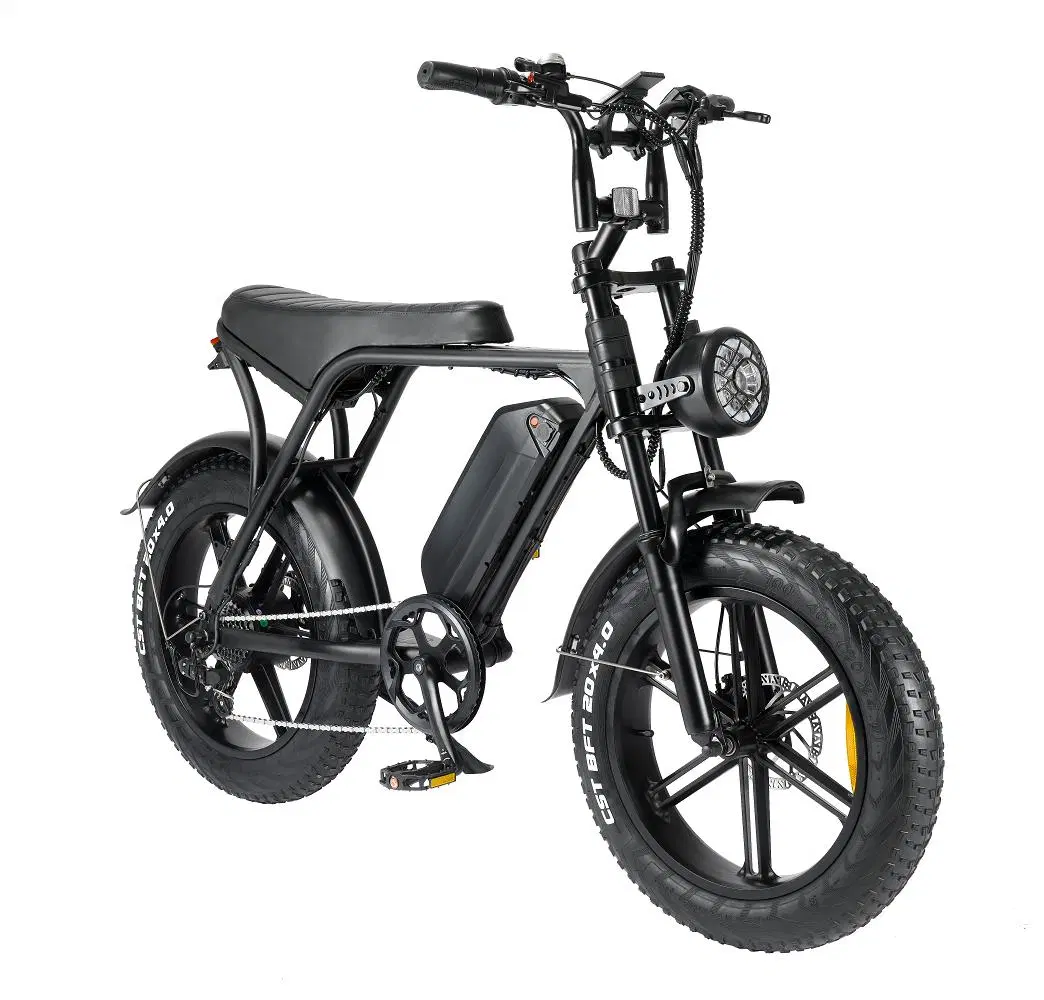 2024 New All Terrain 500-1000W off Road Bicycle Electric Bike 20*4.0inch Fat Tire E Bicycle Beach Cruise E-Bike