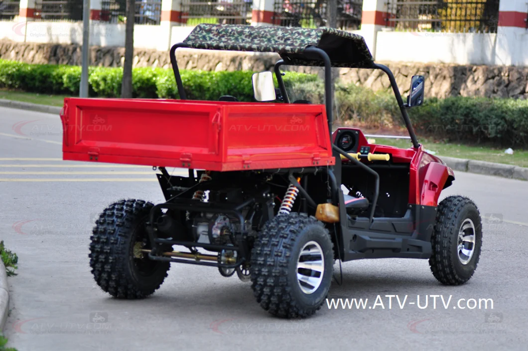 Cheap Adult 150cc Farm UTV ATV Quad Bike 200cc for Sale 250cc Quads