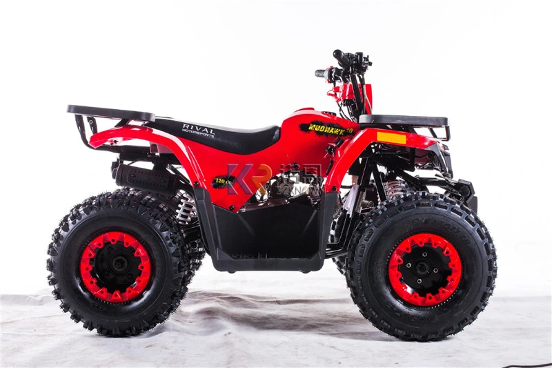 Adults Electric Motorcycles Scooter off-Road 110-125cc ATV Quad 4X4 Gasoline off-Road Motorcycle Dirt Bike 4 Wheels ATV Quad 4X4