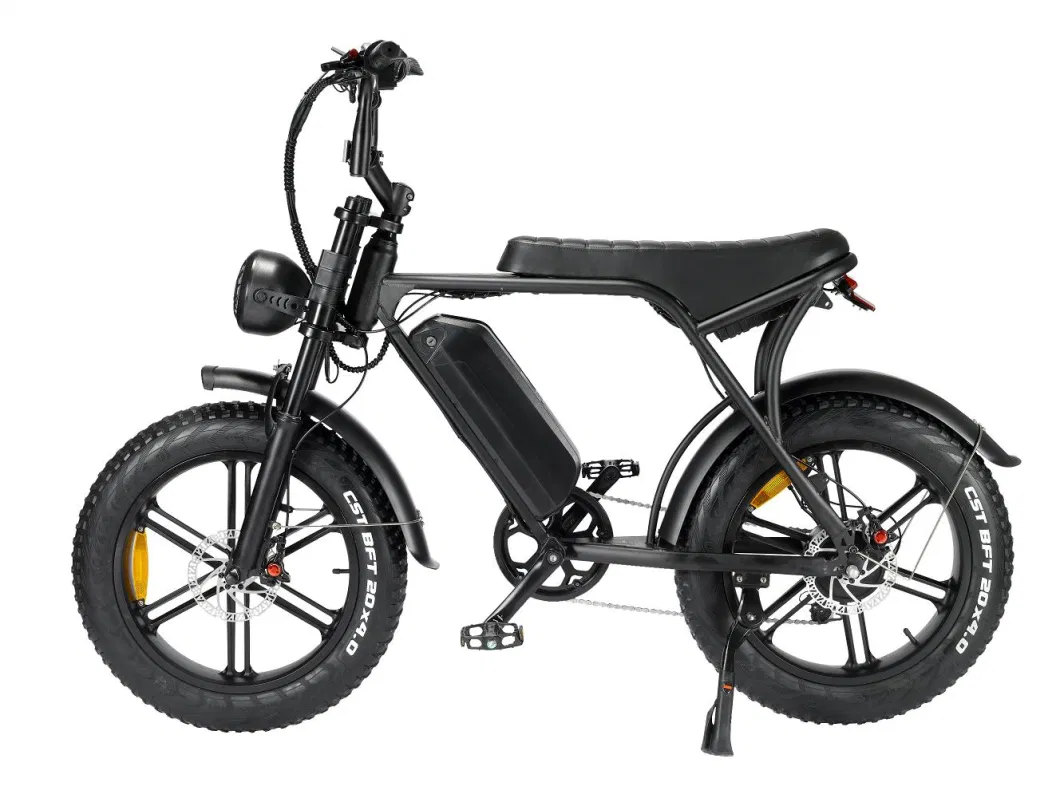 2024 New All Terrain 500-1000W off Road Bicycle Electric Bike 20*4.0inch Fat Tire E Bicycle Beach Cruise E-Bike