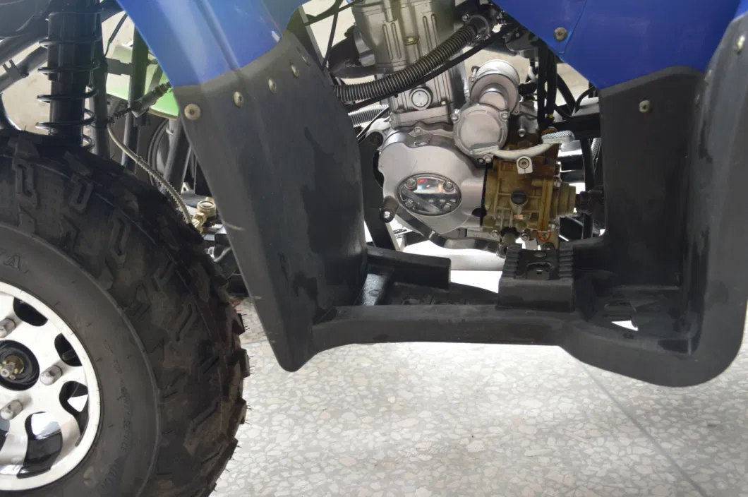 250cc 300cc Adult 4X4 ATV Quad