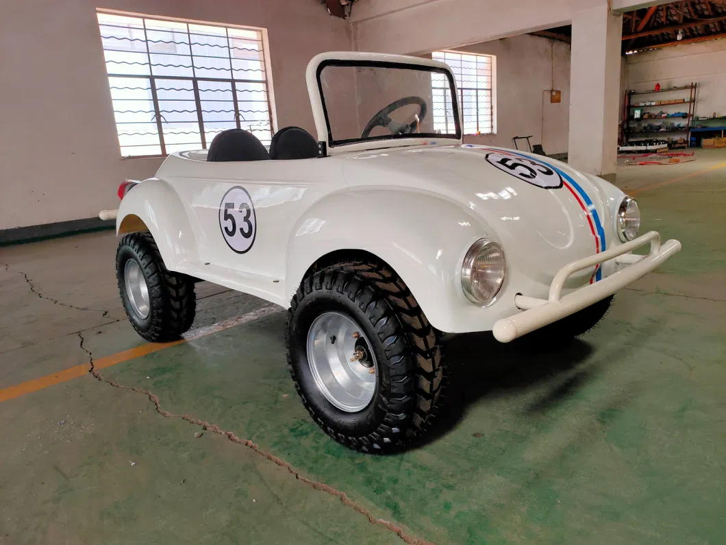 Suyang High Speed 60km/H Mini Car All Terrain Vehicle Petrol Mini Beetle 150cc for Adults and Kids