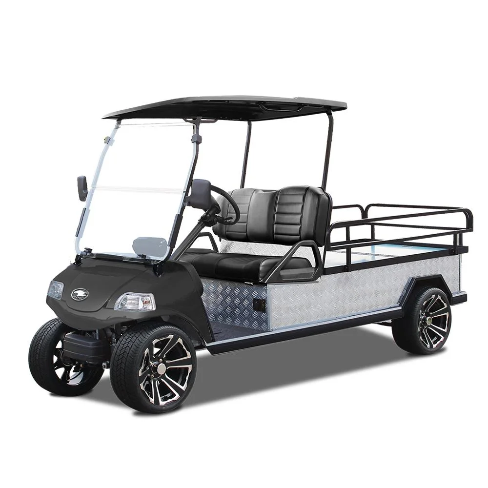 Hdk EV Electric Cart for Farmer Flatbed Cargo Truck