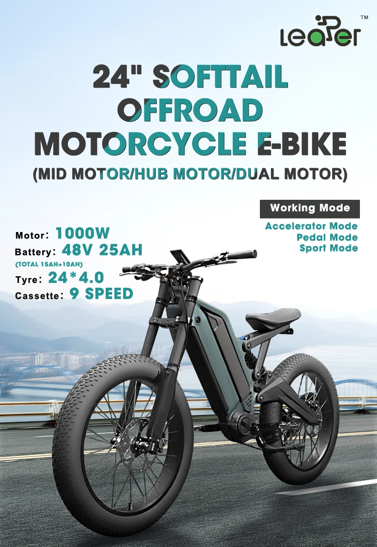 24 Inch 1000W Aldult Offroad Dirt Fat Tire Ebike Quad Electric E Bike