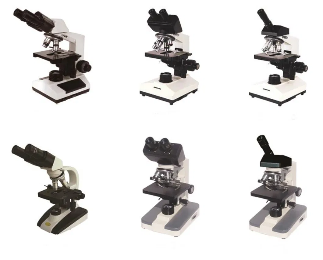 Lbm102b Medical Laboratory Lab Economic Research Analyse Binocular LED Quadruple Nosepiece Digital Biological Microscope