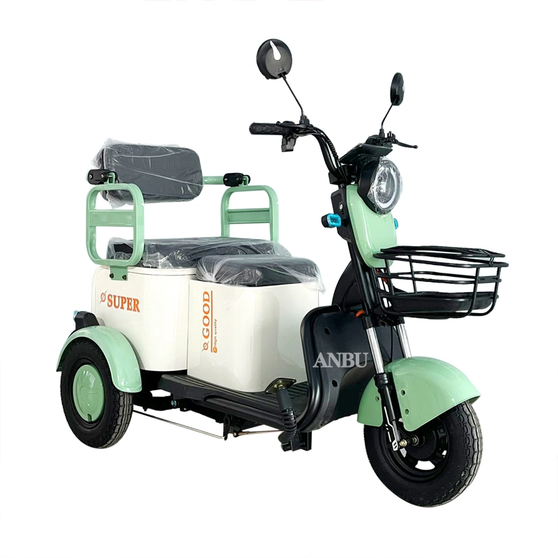 Three-Wheeler 800W for Family Adult Electric Tricycle