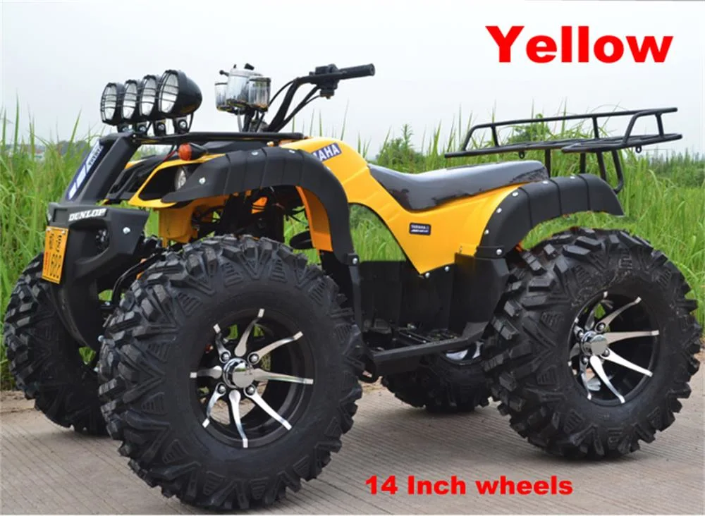 High Power 2WD Electric ATV Adult off-Road ATV Fully Sealed Battery ATV