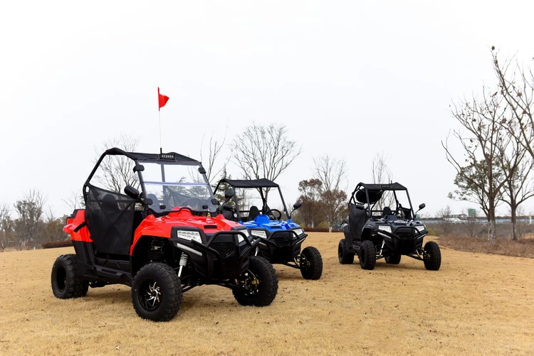 Red 200cc Gasoline 2 Seater Off Road Buggy Farm UTV