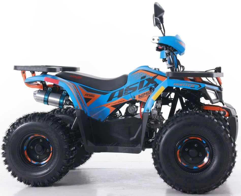 Tao Motor 2024 New Quad Bike Automatic Chain Drive 125cc ATV