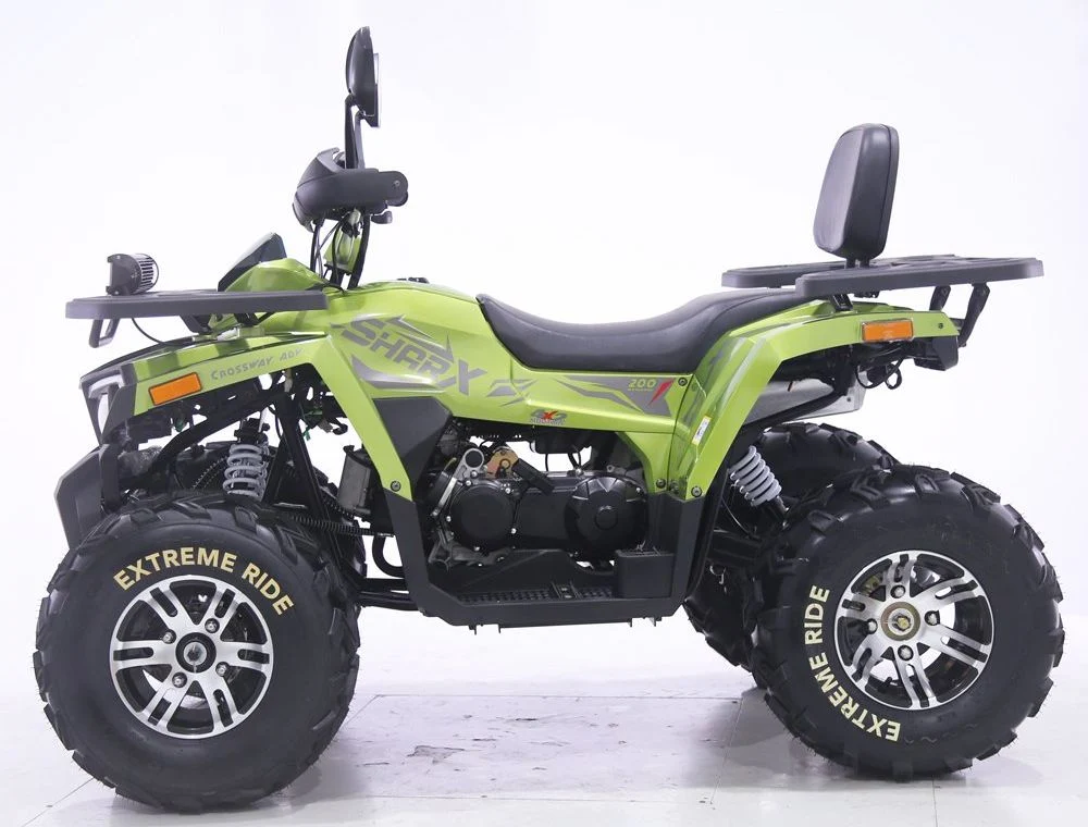 Tao Motor 2024 New Automatic Farm Quad Bike 200cc 250cc ATV