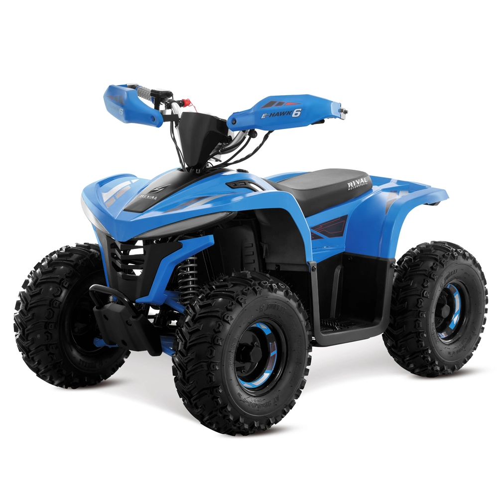 48V 1600W 4 Wheeler Quad Bike Electric ATV for Kids