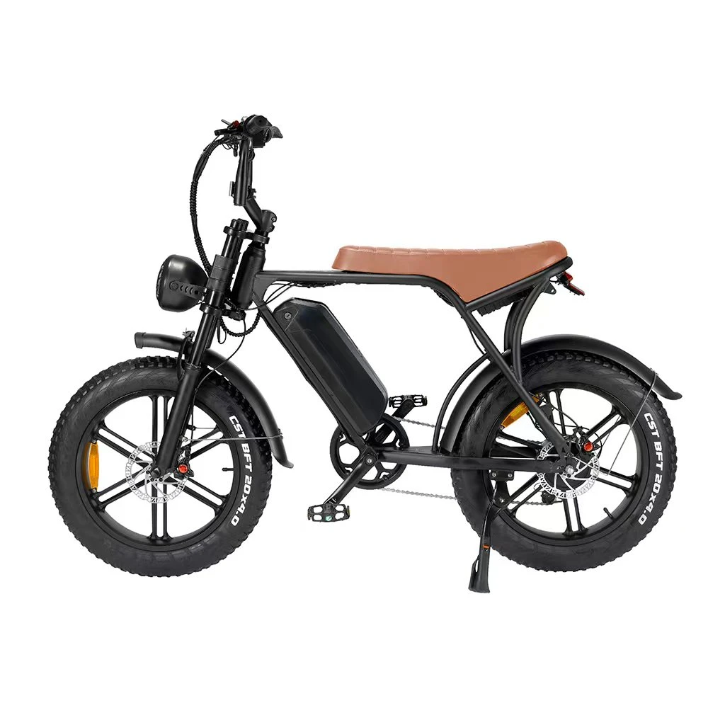 2024 New All Terrain 500-1000W off Road Bicycle Electric Bike 20*4.0inch Fat Tire E Bicycle Beach Cruise E-Bike