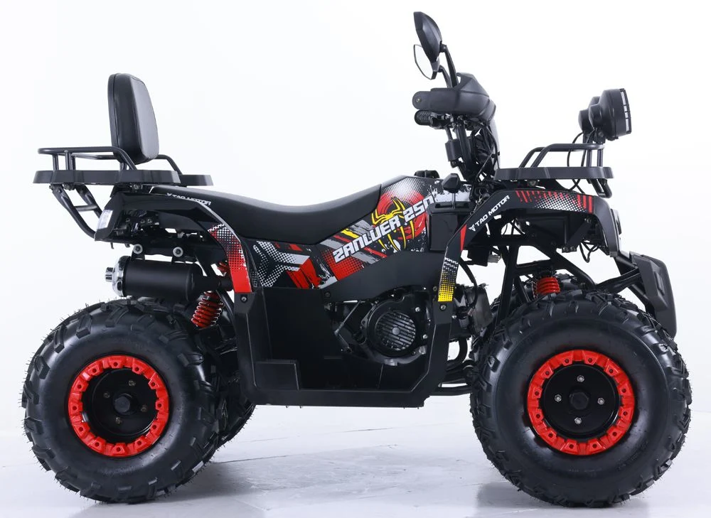Tao Motor 2024 New Automatic Farm ATV Quad Bike 250cc 200cc ATV