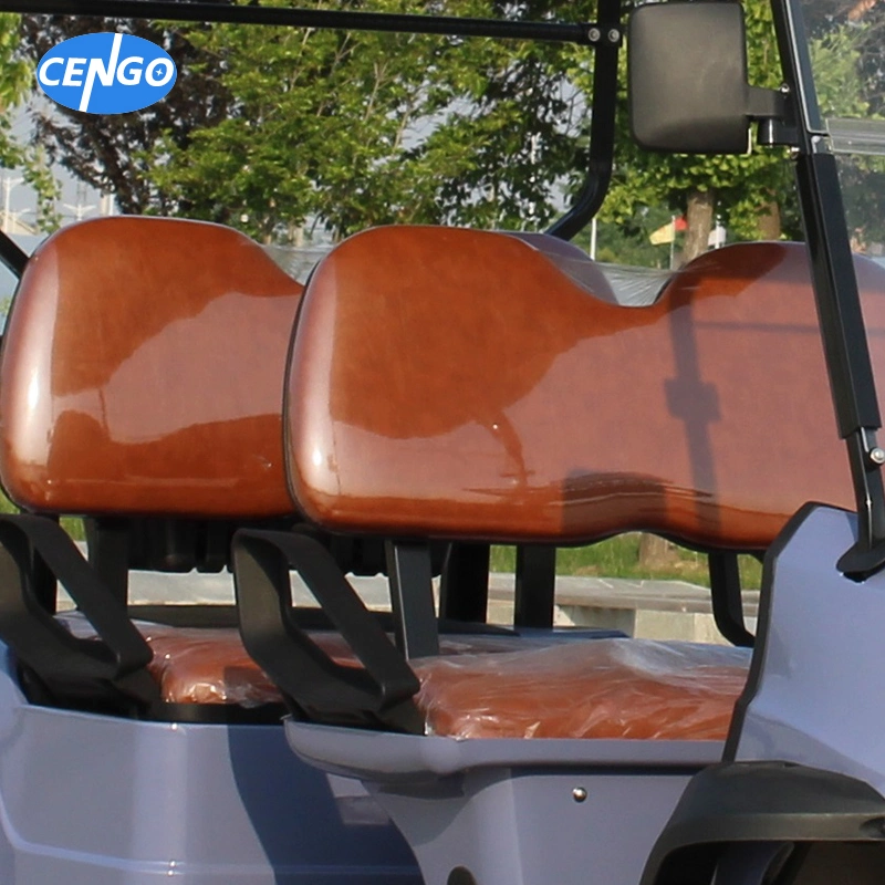 Chinese Electric Golf Cart 4 Seater Lithium off Road Hunting Golf Buggy