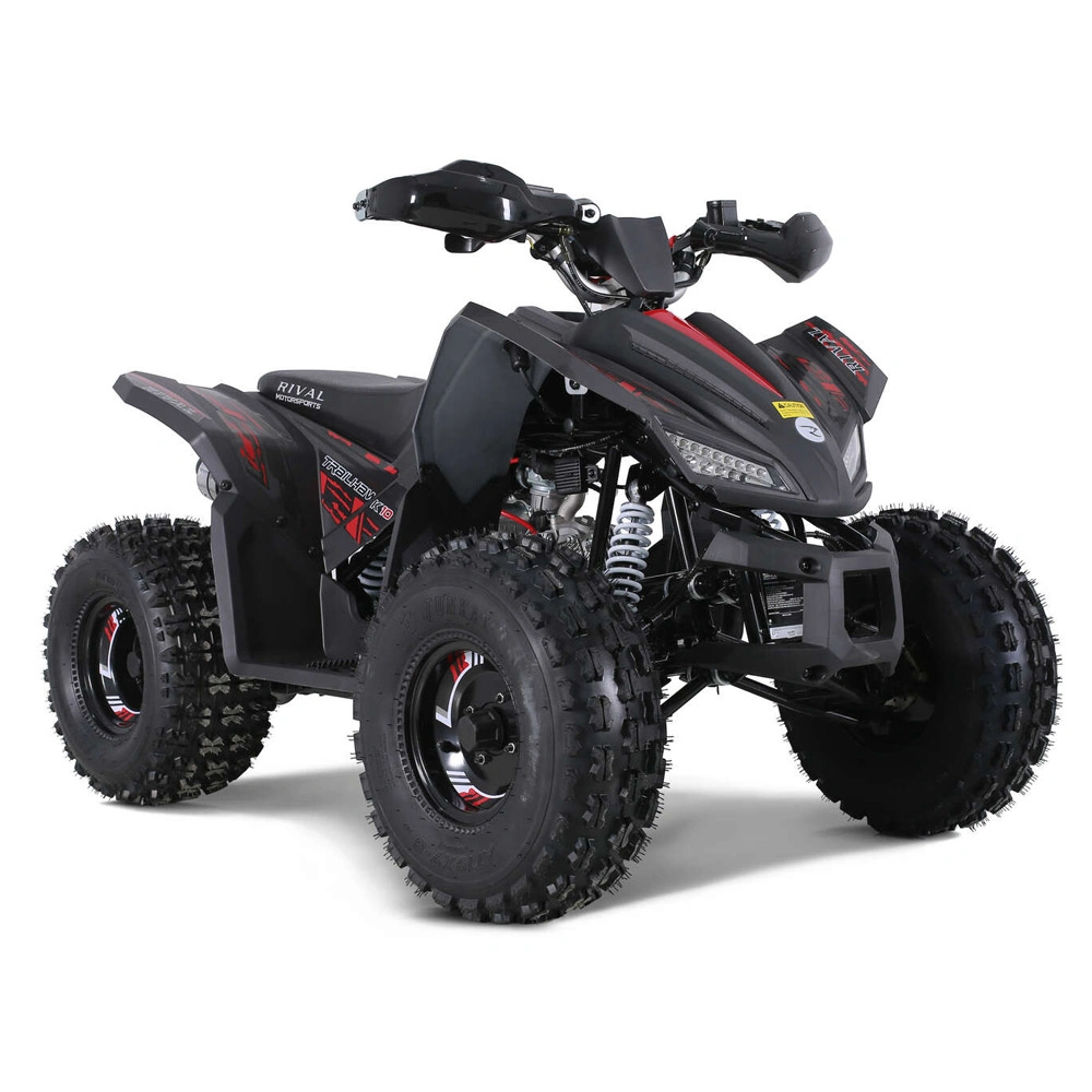 New Design Motorbike Dune Buggy Quad Bike for Teenage 125cc ATV