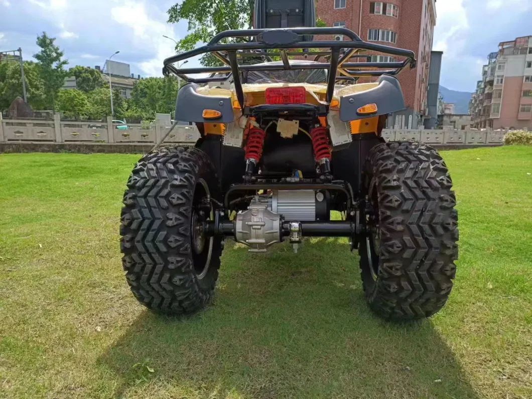 4000W 4wheels Driving Adult Electric ATV 4X4 Quad Bike