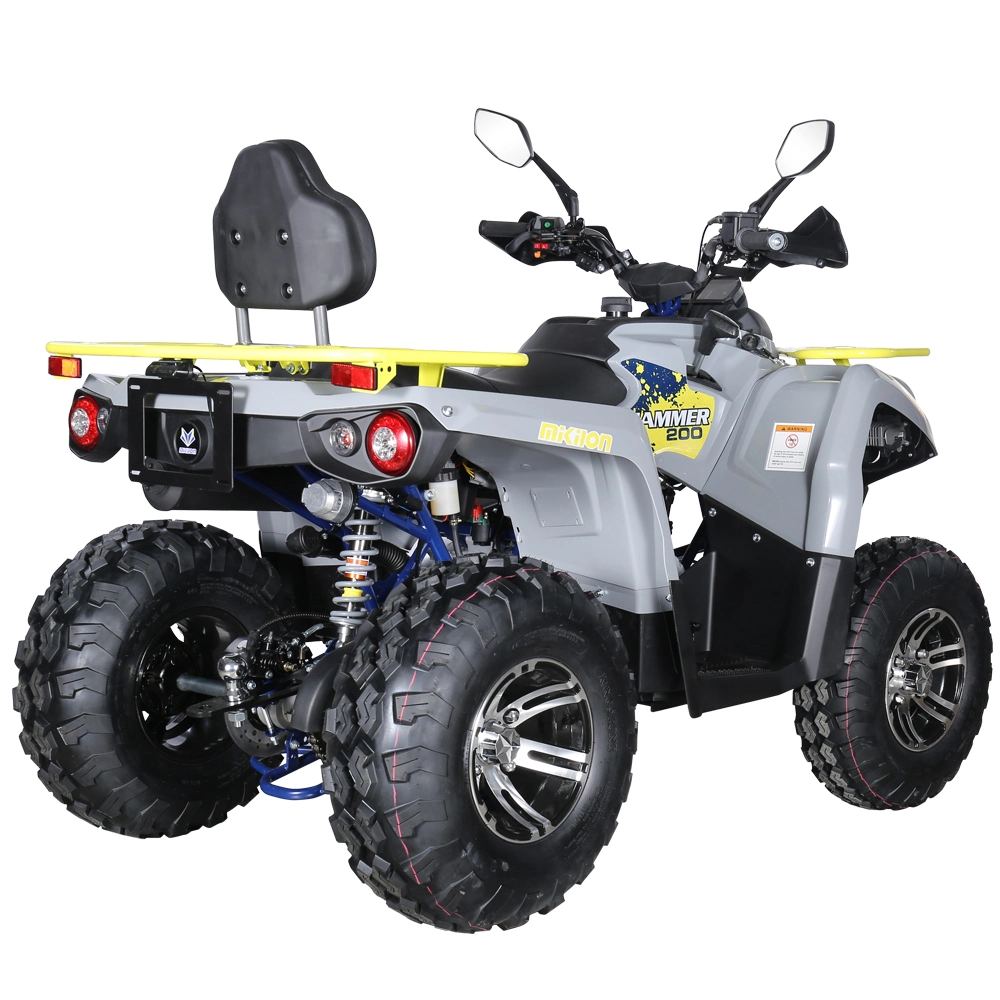 200cc Utility All Terrain Vehicle Amphibious Quad