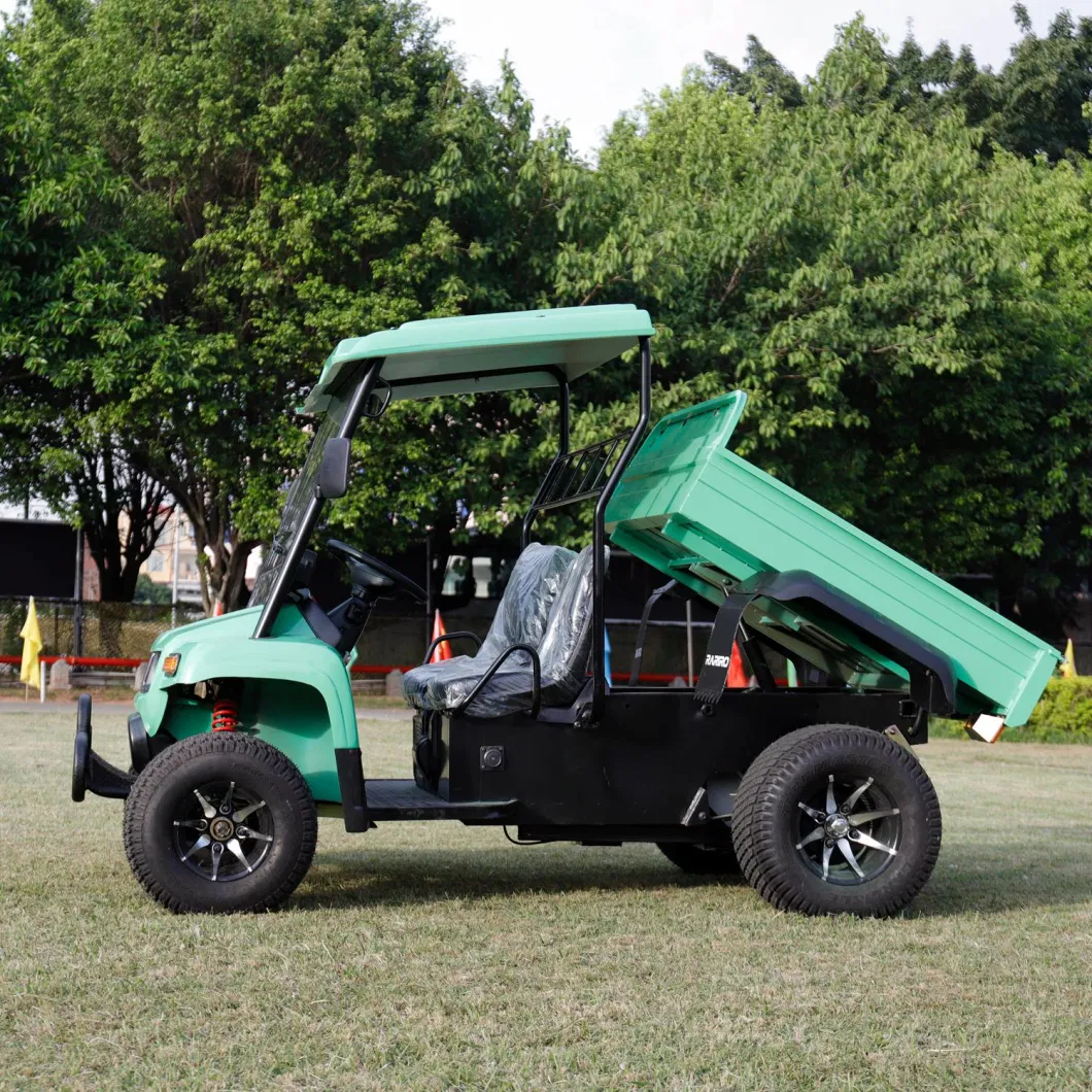 Hot Sale UTV 2X2 Utility Vehicle&amp; Electric UTV for Adult