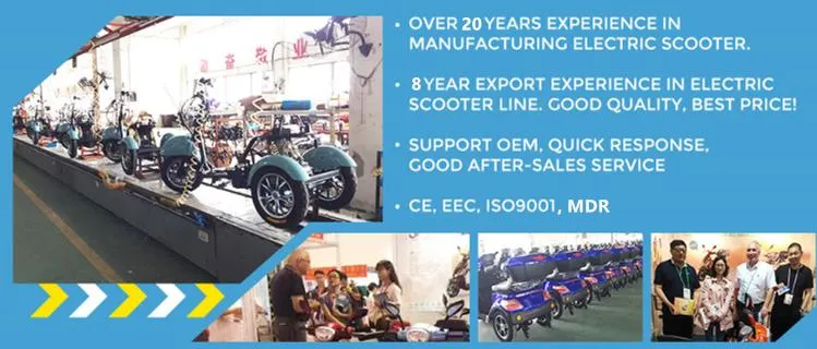 Chunlai Electric 4 Wheel Mobility Scooter EEC Approval Motorcycle for Handicapped Adult