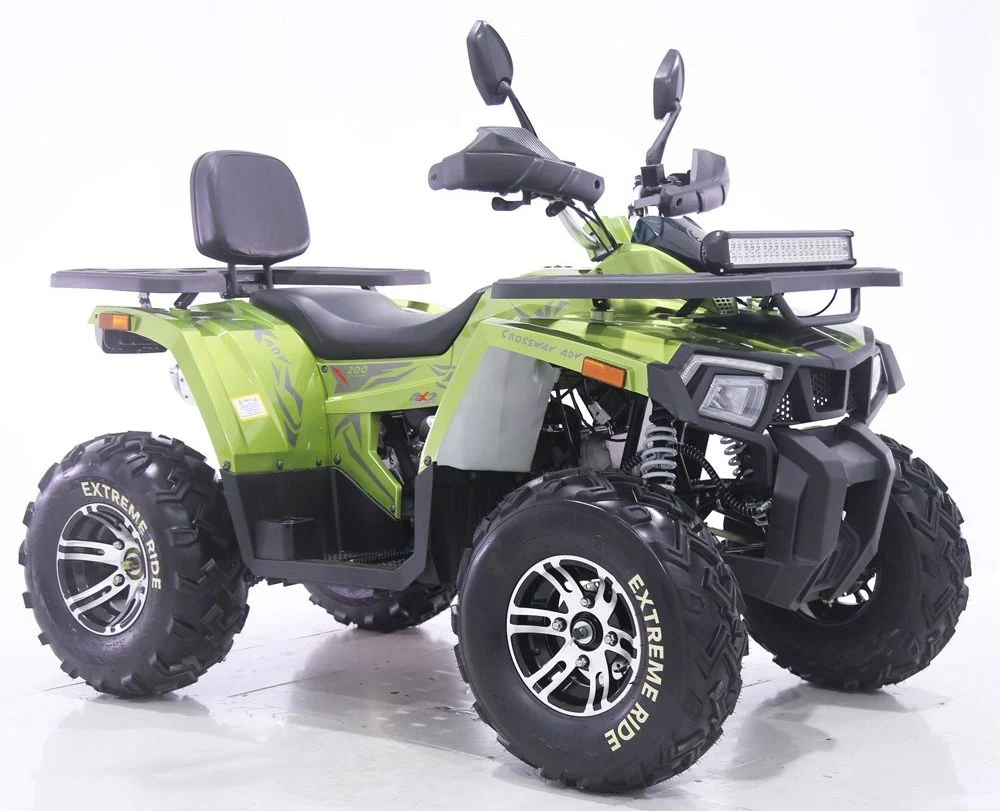 Tao Motor 2024 New Automatic Farm Quad Bike 200cc 250cc ATV