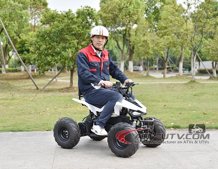 Best Price on Kids 48V 800W DC Motor Electric ATV Wheeler Quad