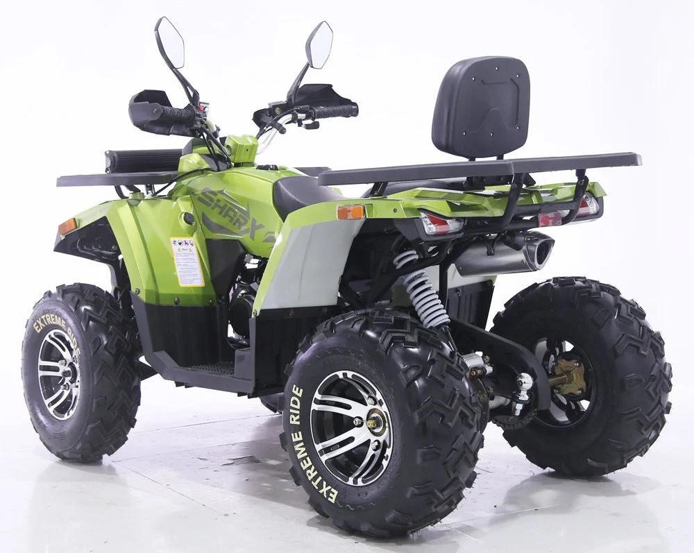 Tao Motor 2024 New Automatic Farm Quad Bike 200cc 250cc ATV