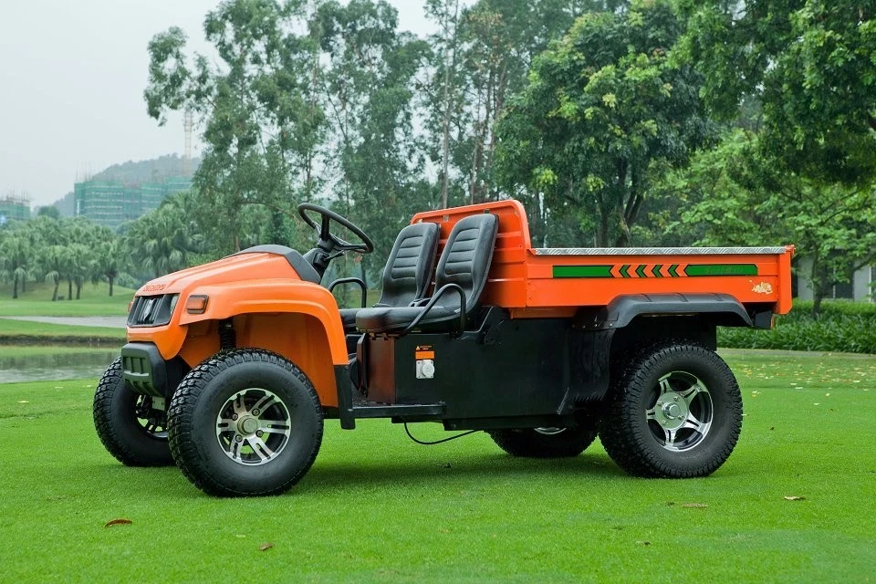 UTV 4 X4 Side by Side All Terrain Vehicle (ATV) Farming Battery Voltage and Electric Fuel Type Utility Cart