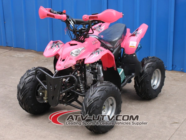 Cheap Price OEM on Chinese 50cc 110cc Quad Bikes ATV Land Cruiser Beach Motorcycle for Sale