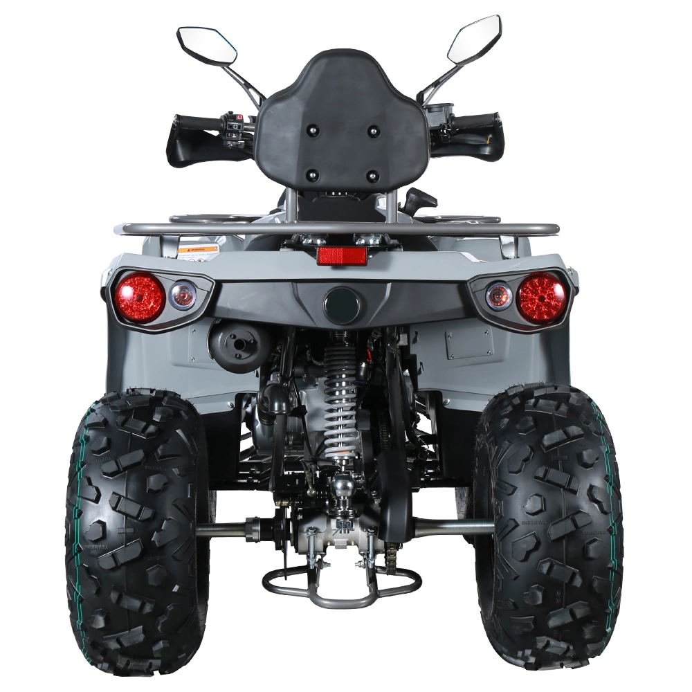 200cc All Terrain Vehicle CVT Engine 4X4 Adults Quad Utvs Atvs Cuatrimoto